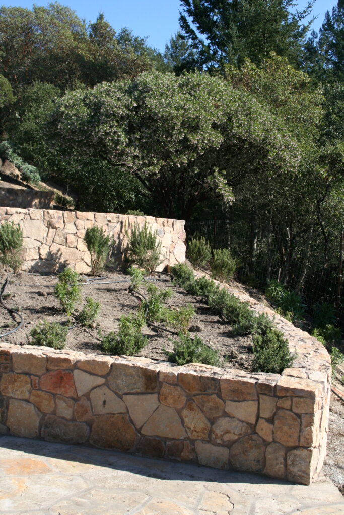 cut stone steps with single stone treads lined on either side by cut stone walls leads up a hill through a tiered garden with exposed irrigation