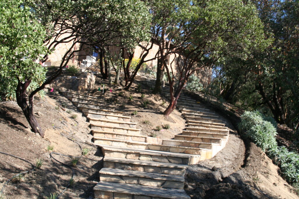 cut stone stairway with stone treads leads up a hill through a garden to a residence